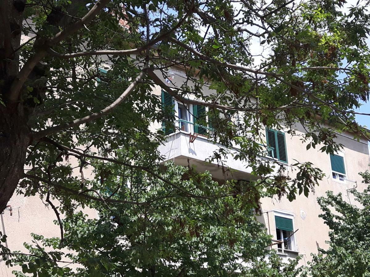 Apartment Sunny Place Zadar Exterior foto